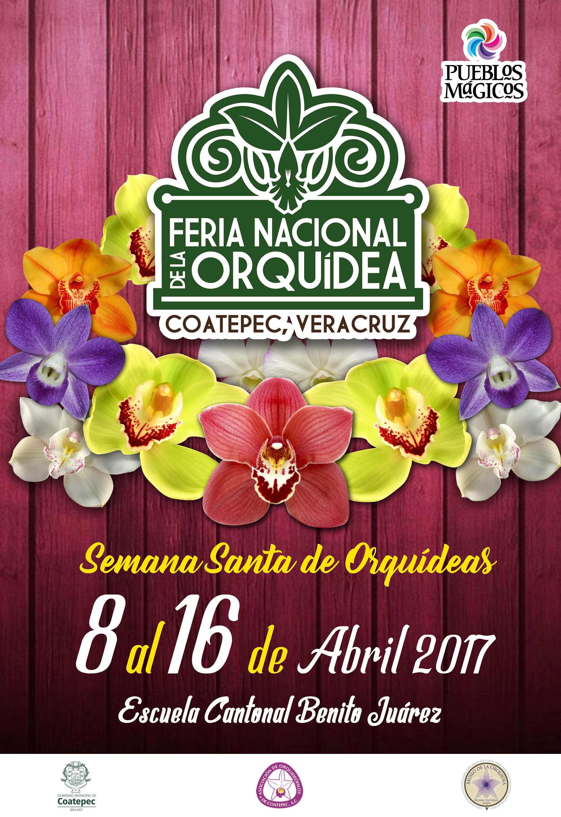 Feria Nacional de la Orquídea